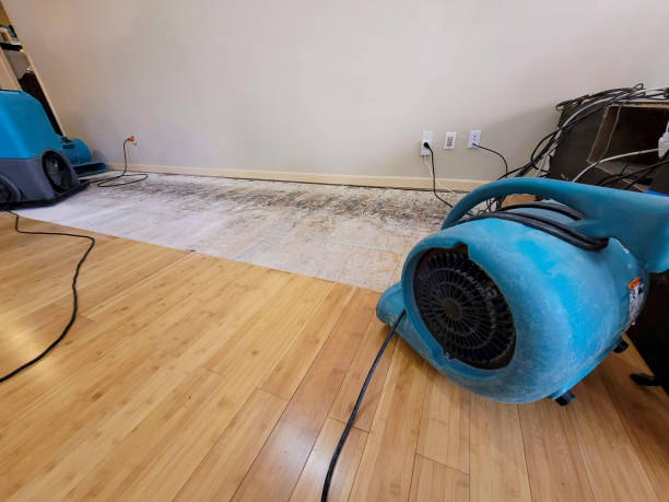 Professional Flood Damage Cleanup technician working in Glendale Heights, IL